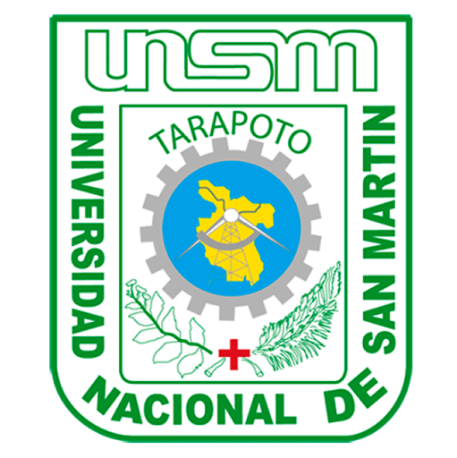 Logo Universidad Nacional de San Martín